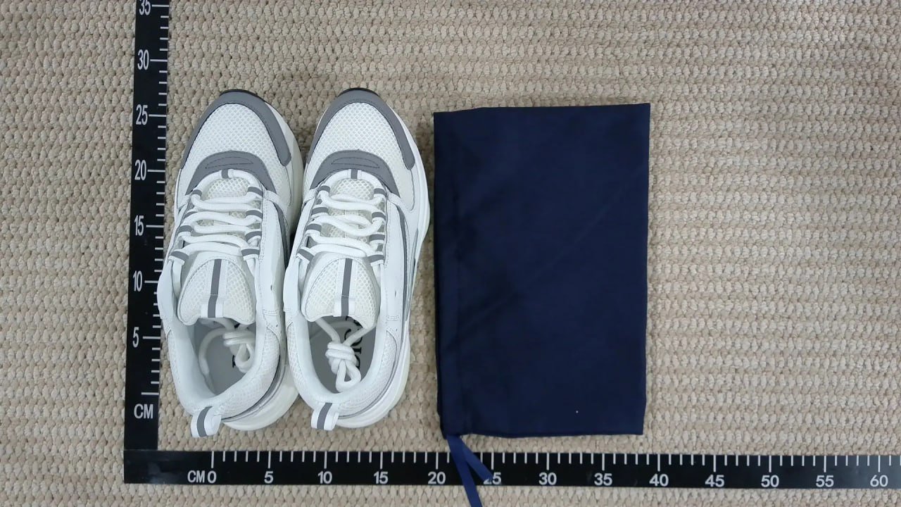 Dior B22 sneakers (30+)