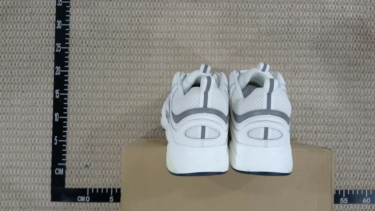 Dior B22 sneakers (30+)