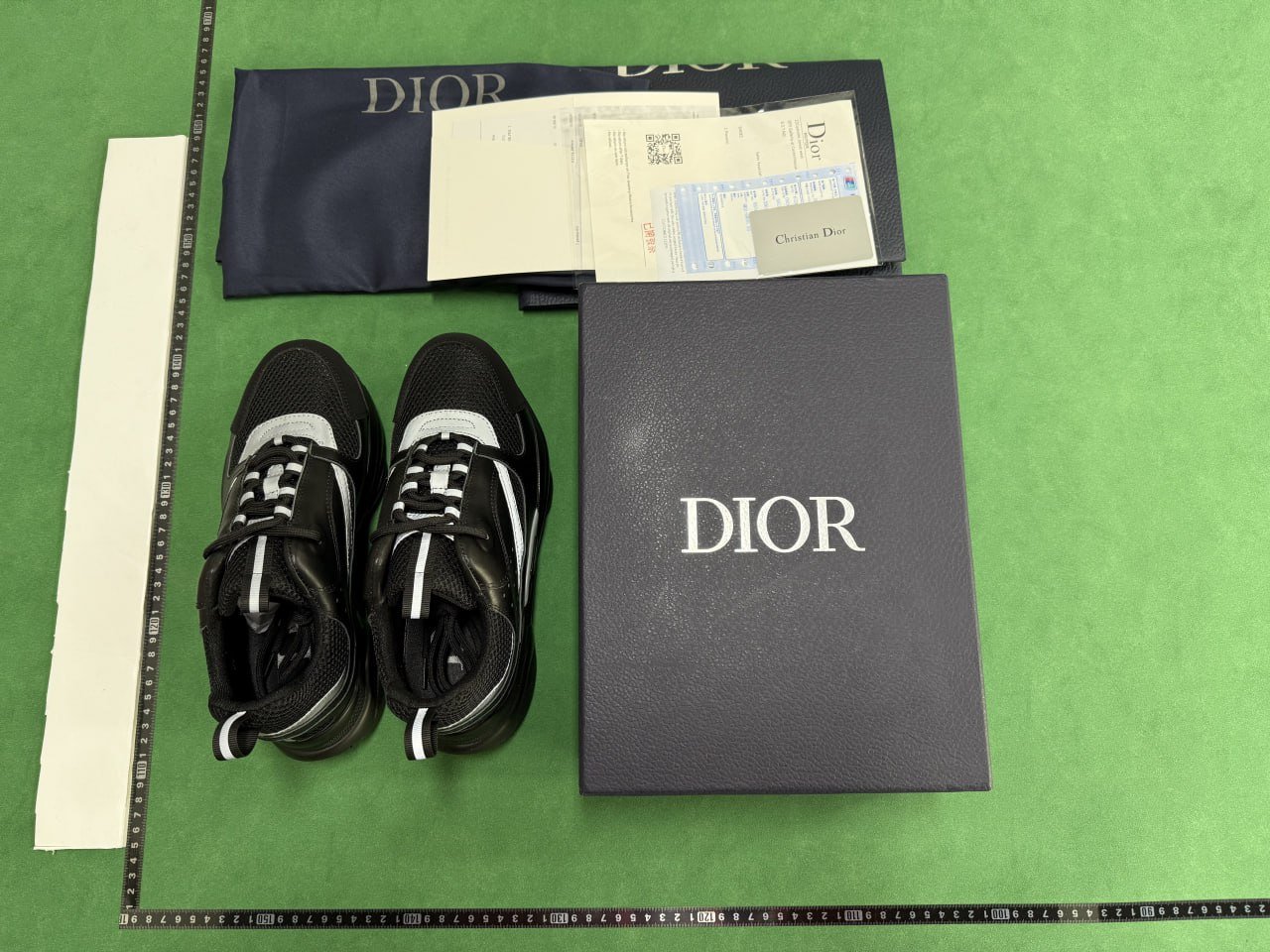 Dior B22 shoes 